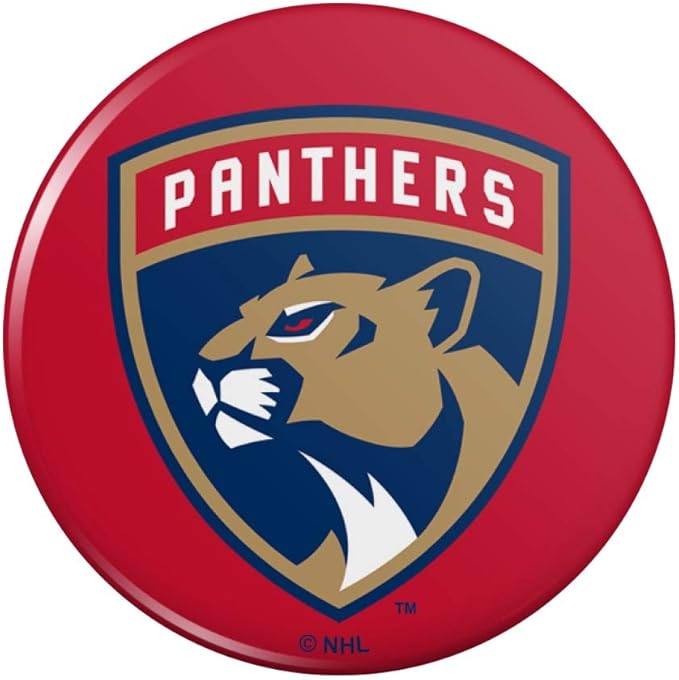 nhl florida panthers 标志别针